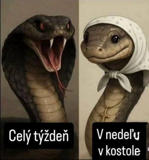 Tradičné hodnoty